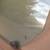 1968 1969 CORVETTE COUPE LH TINTED DOOR GLASS L71 L79 L88 L89 7 thumbnail