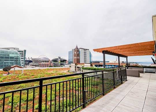 Stadium Views, In Seattle, 1/bd 1