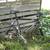 Quintanana Roo kilo Roed Bike 16 thumbnail