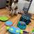 Pure bred standard poodle rehoming 4 thumbnail