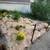 Organic Yardwork and Native Prairie Gardens 2 thumbnail
