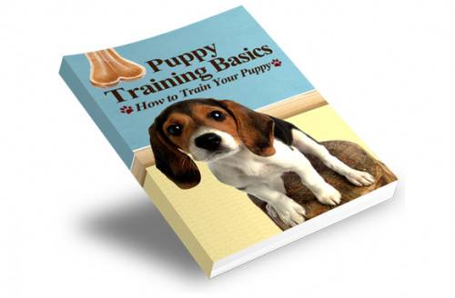 🚀 Puppy Training Basics Book 1
