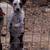 Sweet girl needs a new home as soon as possible 3 thumbnail
