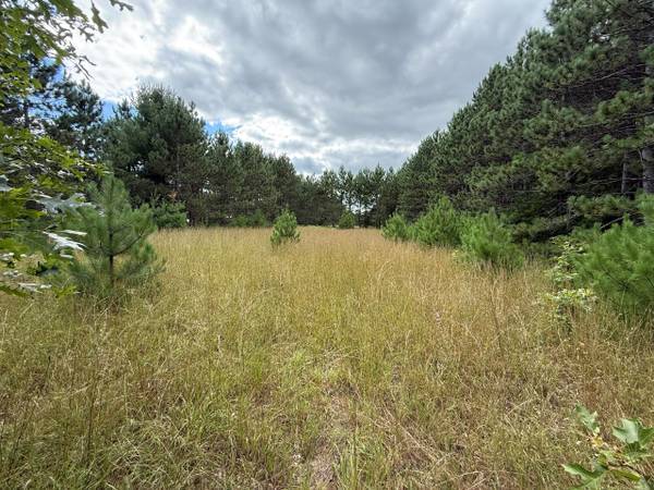 $59,900 Partially-Wooded 3.12-Acre Buildable Parcel (Clintonville)63845963895553120