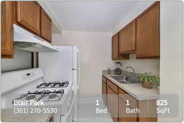 $1,399 / 1br - 825ft2 - Open House on 08/09/2025!! (Silver Spring - Right off of Georgia Avenue)63896509084035121