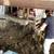 Foundation, Retaining wall, repair, seismic work, Earthquake safety 3 thumbnail