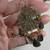 Vintage Jewelry Lot 11 thumbnail