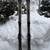 Dynastar 146cm Alpine Downhill Skis + Look Exclusive Plus Bindings (DI 1 thumbnail