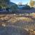 Top Soil 2 thumbnail