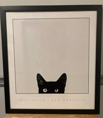 FRAMED ART PRINT of CAT by Jon Bertelli 1