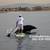 Stand Up Paddle Board Storage 2 thumbnail