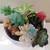 White Ceramic Owl Planter w/ artificial flowers 2 thumbnail