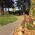 Downtown Santa Cruz One-Bedroom – Walk to Shops, Dining & Parks 14 thumbnail