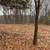 Vacant Lot on Wisconsin River 9 thumbnail