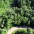 Vacant Wooded Parcel in Wisconsin Dells 15 thumbnail