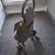 Multi Purpose Cart / Stair Climber Wheels 2 thumbnail