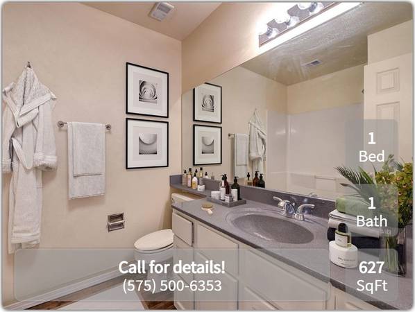 $999 / 1br - 627ft2 - Enough living space for all your needs. 1 bed, 1 bath. Check us out! (Las Cruces - Near NMSU)63861849835905121