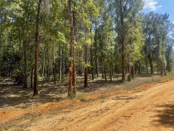 $99,000 9.5 Acres Boscosos en Chipley, FL - Alto y Seco, Tranquilo y Listo para Ti (Chipley)64193708813313120