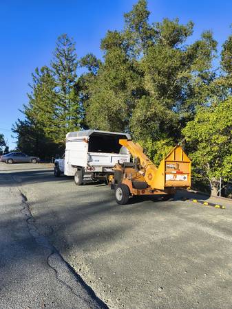 Chipping we chip small and HUGE piles 1