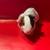 Guinea pigs 5 thumbnail