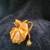 "The Lizard" Golden Pond Collection 1 thumbnail