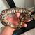 Hurricane yellowbelly het clown poss special male 1 thumbnail