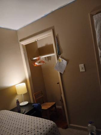 $300 / 4br - Furnished room (Bedstye)63854384328577123