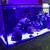 150 Gal Saltwater Reef Tank 1 thumbnail