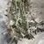 $5 group of succulents. For transplanting . 3 thumbnail