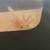 Axolotl 2 thumbnail