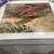 CCA Dearman Prints 2 thumbnail