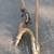 1951 Chevy Steering Parts Sector and Linkage 6 thumbnail