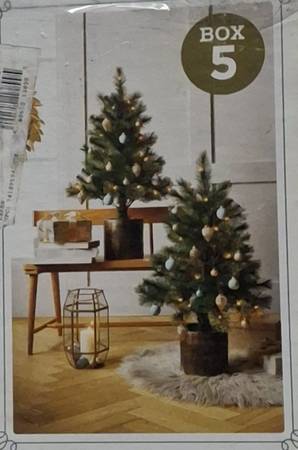 Twin Virginia Pine Lit Trees 1