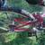 Gary Fisher bike 26” wheels mountain bicycle ready to ride 8 thumbnail