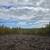 45.5 surveyed acres 5 thumbnail