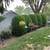 DNG LANDSCAPING,MULCH,TRIMMING,SOD INSTALLATION🌳TREE SERVICE 📞301-272-5481 10 thumbnail