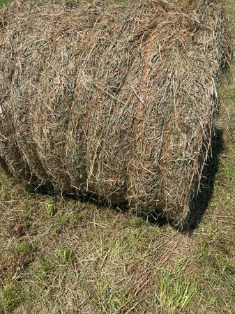 Hay Round Bales 1