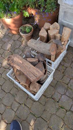 Free firewood 1