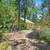 7652 Eastwood Way - Forest Hideaway Vacation Home For Sale! 2 thumbnail