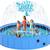 EPN Large Foldable Dog Pool, Bathtub & Sprinkler for Dogs, Cats, Kids 1 thumbnail