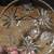 VINTAGE CLEAR GLASS FOOTED BOWL HOBSTAR PATTERN 6.75" 2 thumbnail