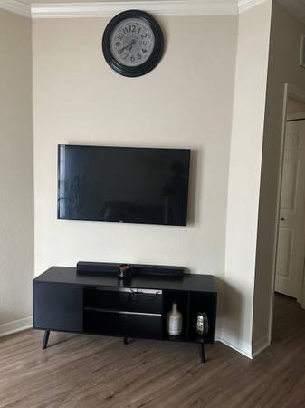 Entertainment System: Sleek & Sturdy 1