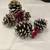 Collection of Christmas Decorations 11 thumbnail