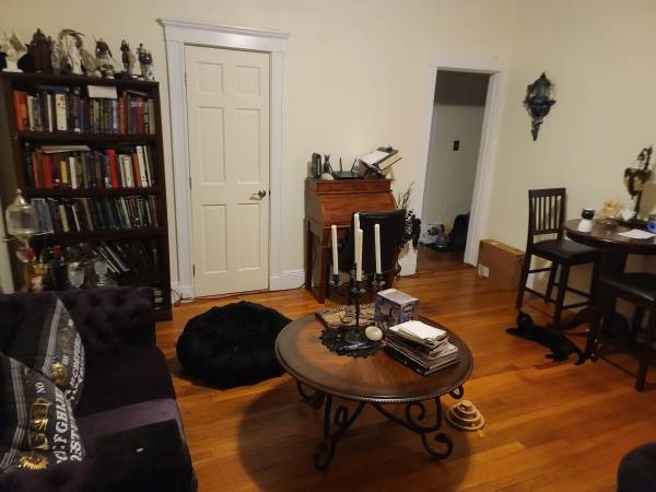 $1,225 / 2br - Roommate needed for Sunny 2BR Condo in Allston (Allston)63690793363457123