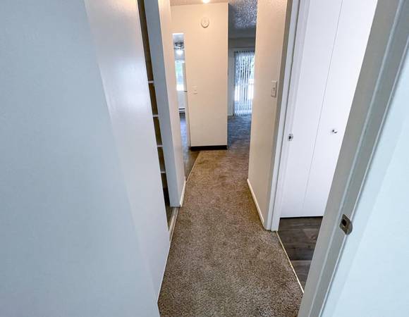 $1,215 / 1br - FREE MONTH & MORE! - Near 24HR Fitness, Generous Living Areas, Pets (Wilkes-East)63999452007298122