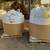 Layer feed cattle feed 1 thumbnail