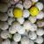 5000 practice golf balls 3 thumbnail