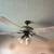 ceiling fan 2 thumbnail