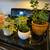 Flower pots, some classic old pots / stand set And Or 20 thumbnail