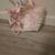 Really cute purse with sunglasses case 1 thumbnail